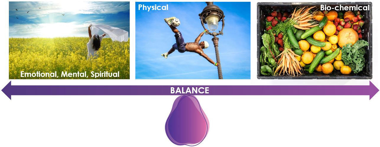 What on earth is Kinesiology?